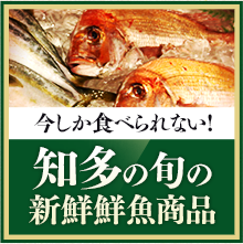 今しか食べられない！知多の旬の新鮮お魚商品