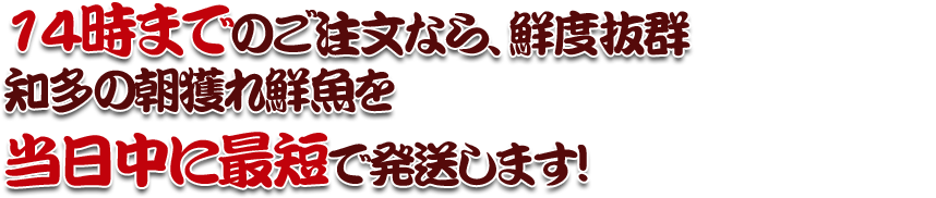 15時までのご注文なら、 その日の朝に獲れた 新鮮な魚貝類を 当日中に最短で発送します！