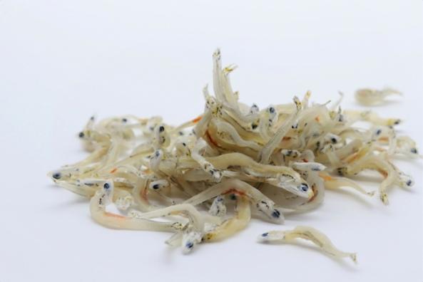 南知多産　かちり（上干ちりめん）