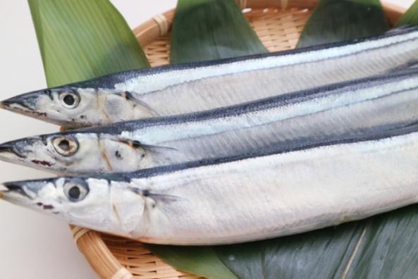 さんま蒲焼き