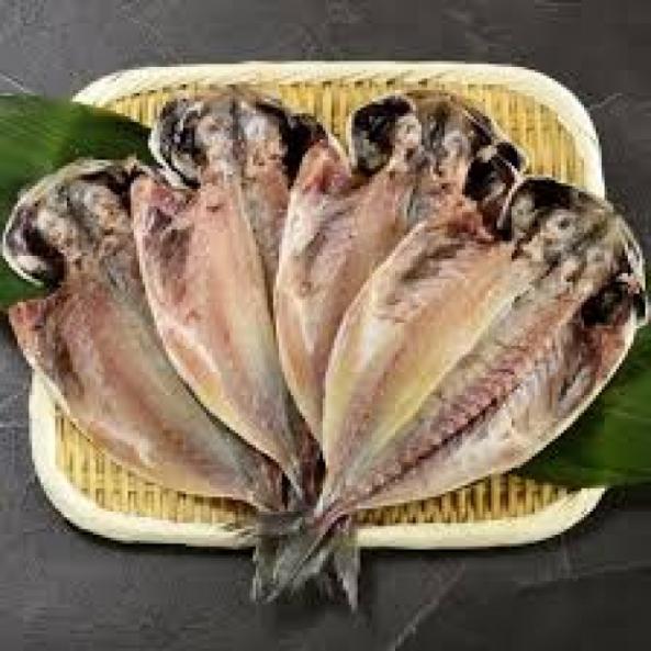 自家製　アジ　3枚