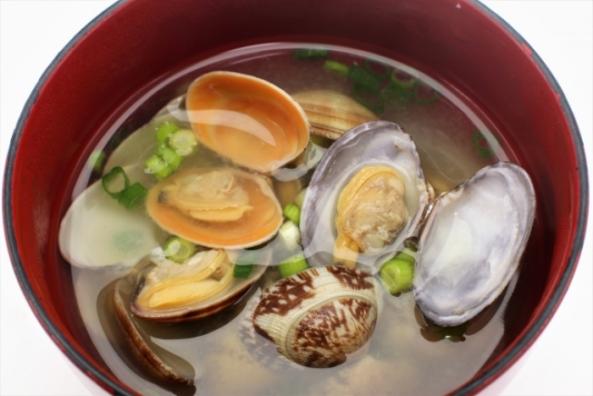 活あさり(砂抜済) 　（~14：00までの注文で当日発送！）