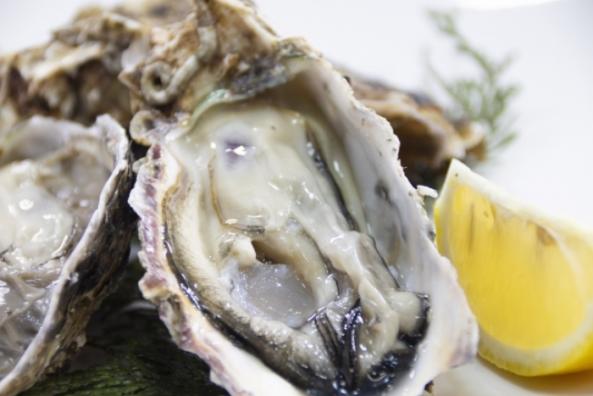 殻付き牡蠣(~14:00までの注文で当日発送!)