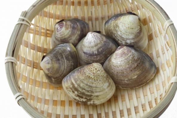 活はまぐり (~14:00までの注文で当日発送!)