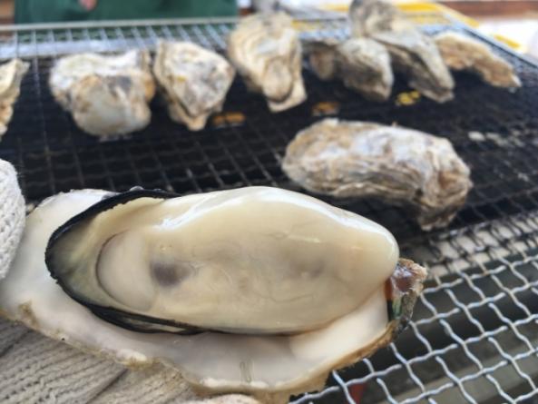 浜焼きBBQセット(約2人前) (~14:00までの注文で当日発送!)