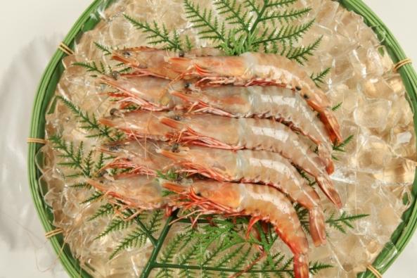 天然エビ（特大）８尾