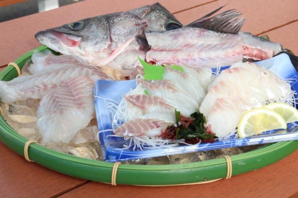 南知多産　すずき（~14：00までの限定販売、即発送！）