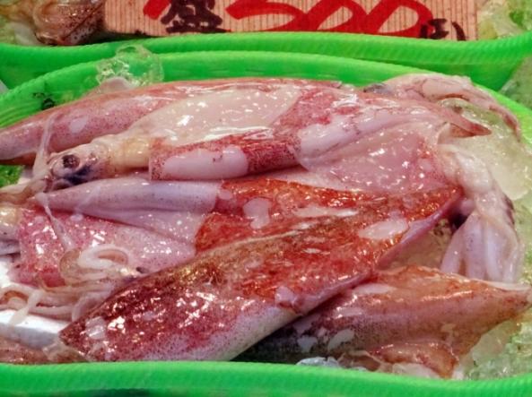 南知多産　ヤリイカ（~14：00までの限定販売、即発送！）