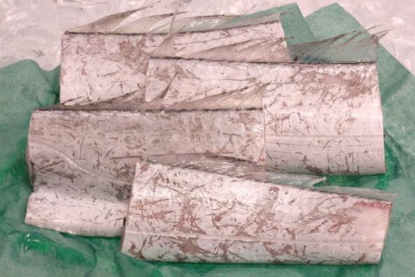 南知多産　太刀魚1尾（~14：00までの限定販売、即発送！）