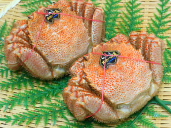 北海道産 ボイル毛ガニ(姿)1杯