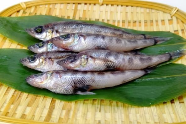 南知多産メヒカリ 1かご(~14:00までの限定販売、即発送!)