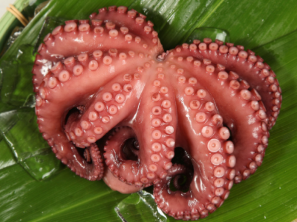 南知多産 浜茹でだこ(~14:00までの限定販売、即発送!)