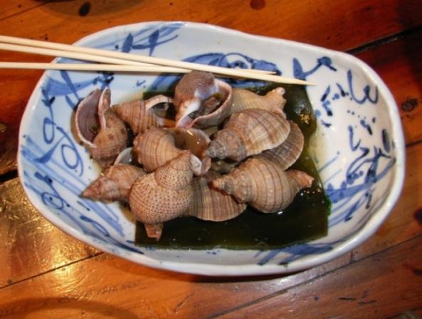 南知多産 活バイ貝 (~14:00までの注文で当日発送!)