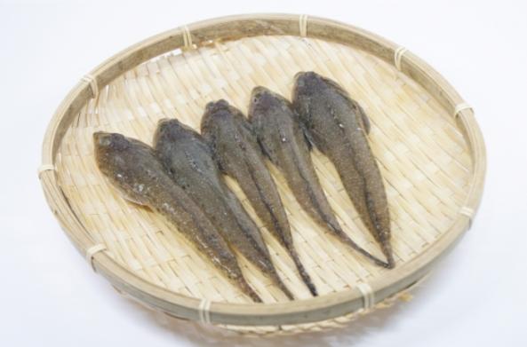 南知多産 メゴチ1かご(~14:00までの限定販売、当日発送!)