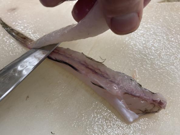 南知多産 メゴチ1かご(~14:00までの限定販売、当日発送!)