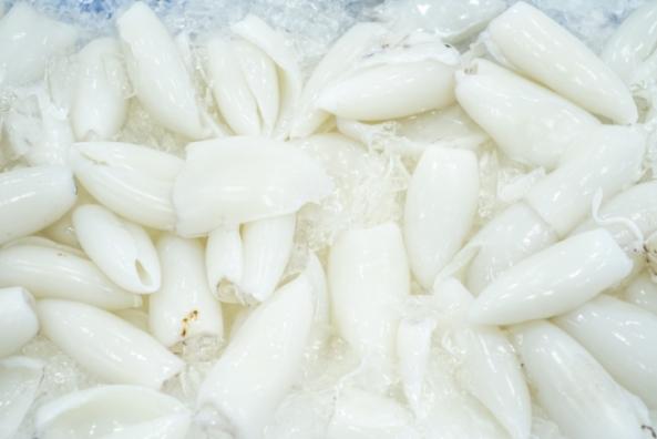 南知多産 小笹イカ1盛(~14:00までの限定販売、即発送!)