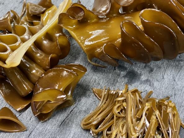 南知多産　生めかぶ　1袋