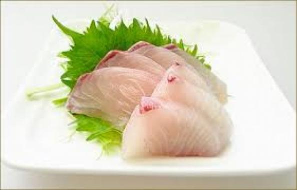 南知多産 シオ(カンパチの子)1尾