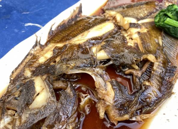 南知多産 バンガレイ1尾