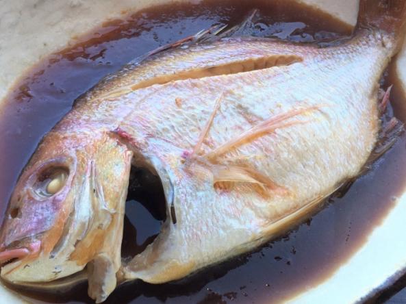 南知多産 天然鯛1尾(煮焼きに)(~14:00までの限定販売、即発送!)