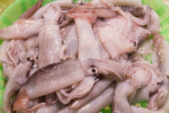 南知多産　子するめいか（~14：00までの限定販売、即発送！）