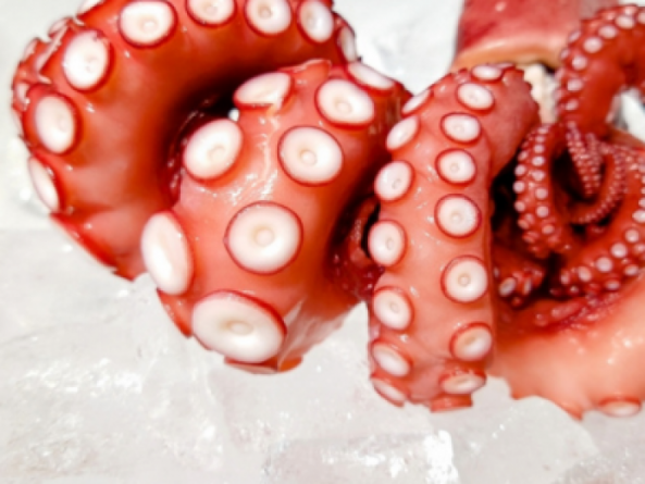 国産 浜茹でだこ(~14:00までの限定販売、即発送!)