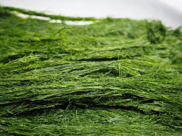 高級 すじ青のり