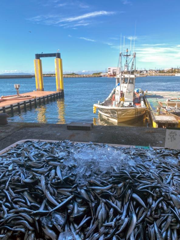 【2026年B】 ご飯のお供セット