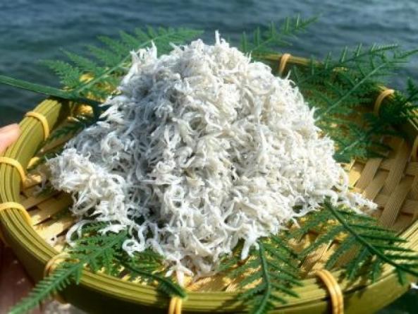 【2026年C】　魚太郎スタッフおすすめセット