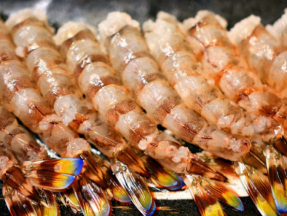 天然大粒 車海老むき身