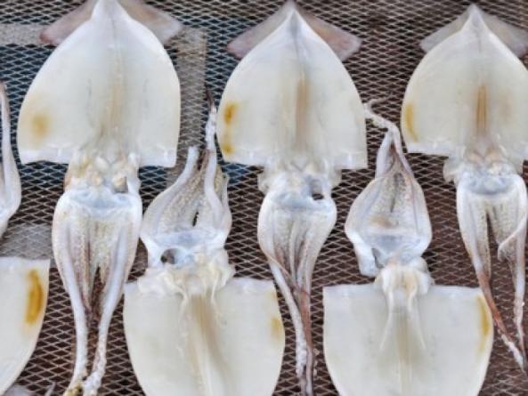 するめいか一夜干し