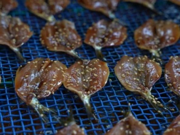 自家製　獲れたていわしみりん