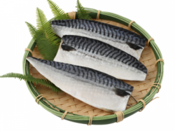 自家製　とろ塩さば　3枚